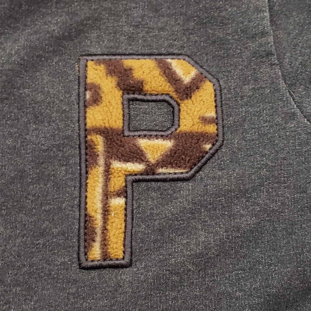 Patagonia Sz XS Letter 'P'  Full Zip Hoodie - Picture 13 of 14